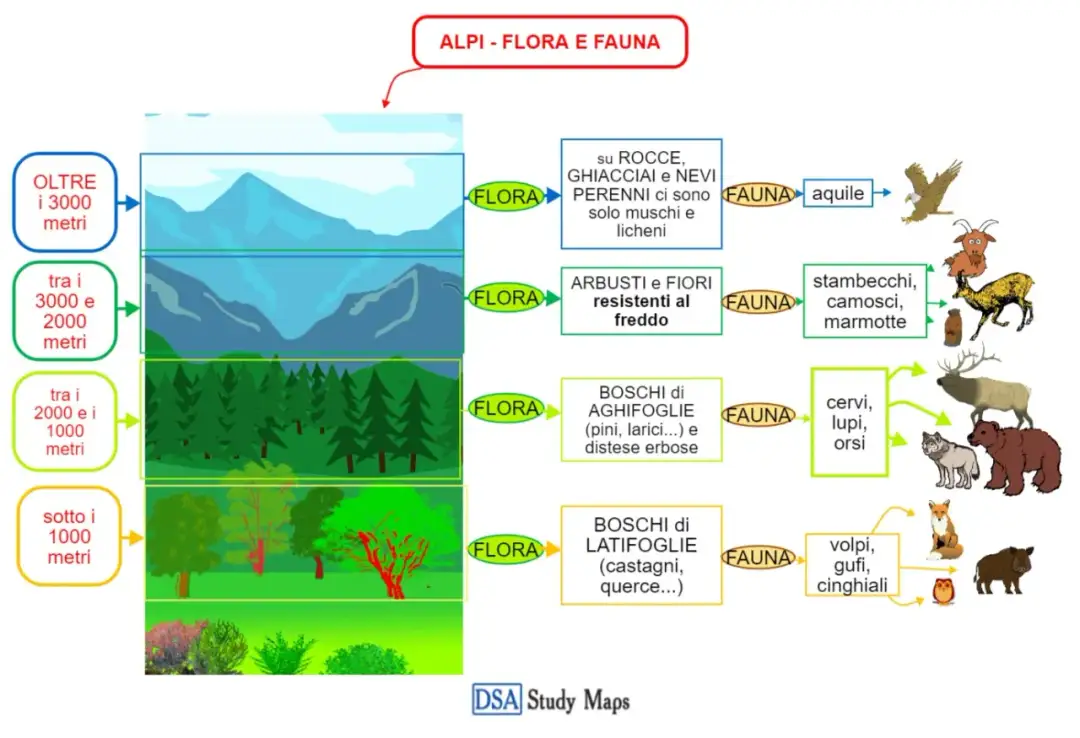 Flora e Fauna Montagna: Guida Completa | Alpi e Appennini