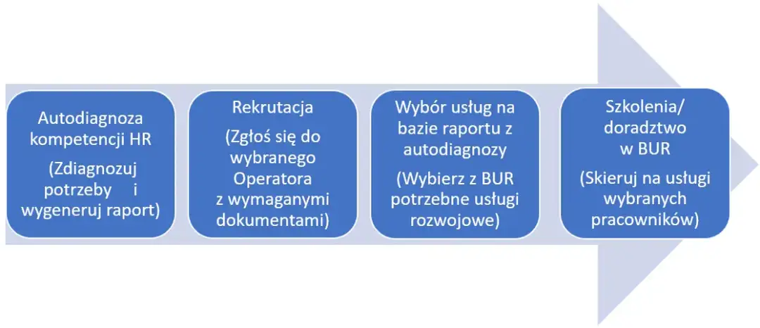 Dofinansowanie z BUR: Kto może skorzystać? Przewodnik dla MŚP