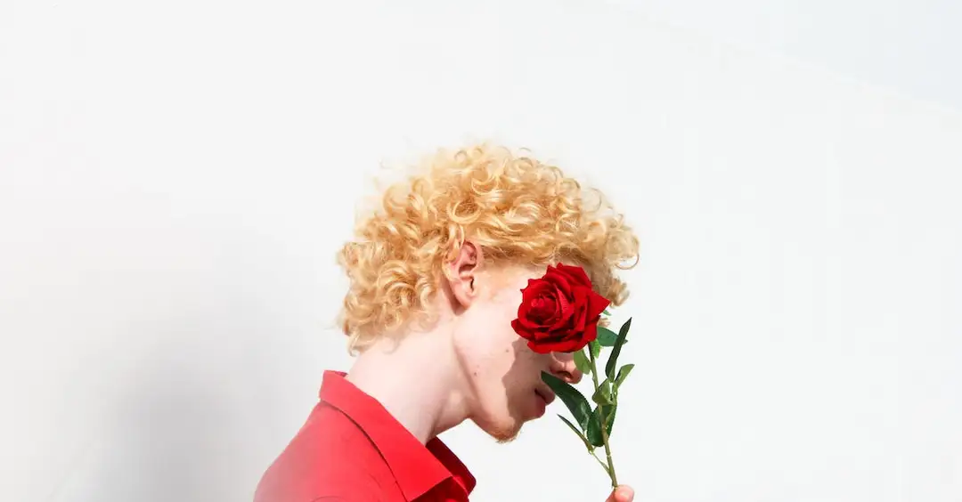  Kwiat jak róża - Róża kwiat, jej piękno i znaczenie