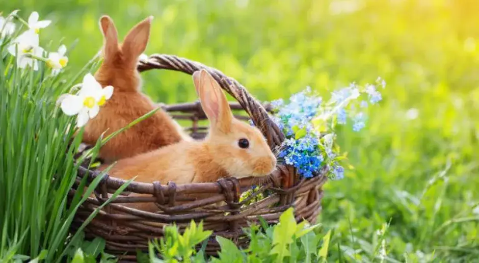 Dlaczego wielkanoc to święto ruchome? Odkryj tajemnice daty świąt