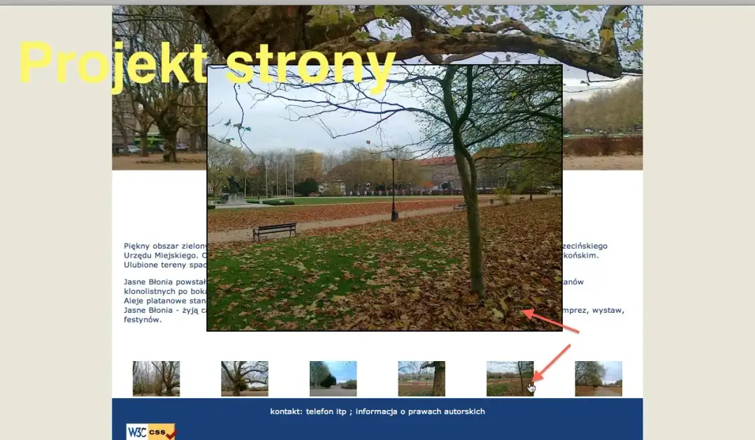 Jak zrobić galerię HTML: proste kroki do stworzenia efektownej galerii