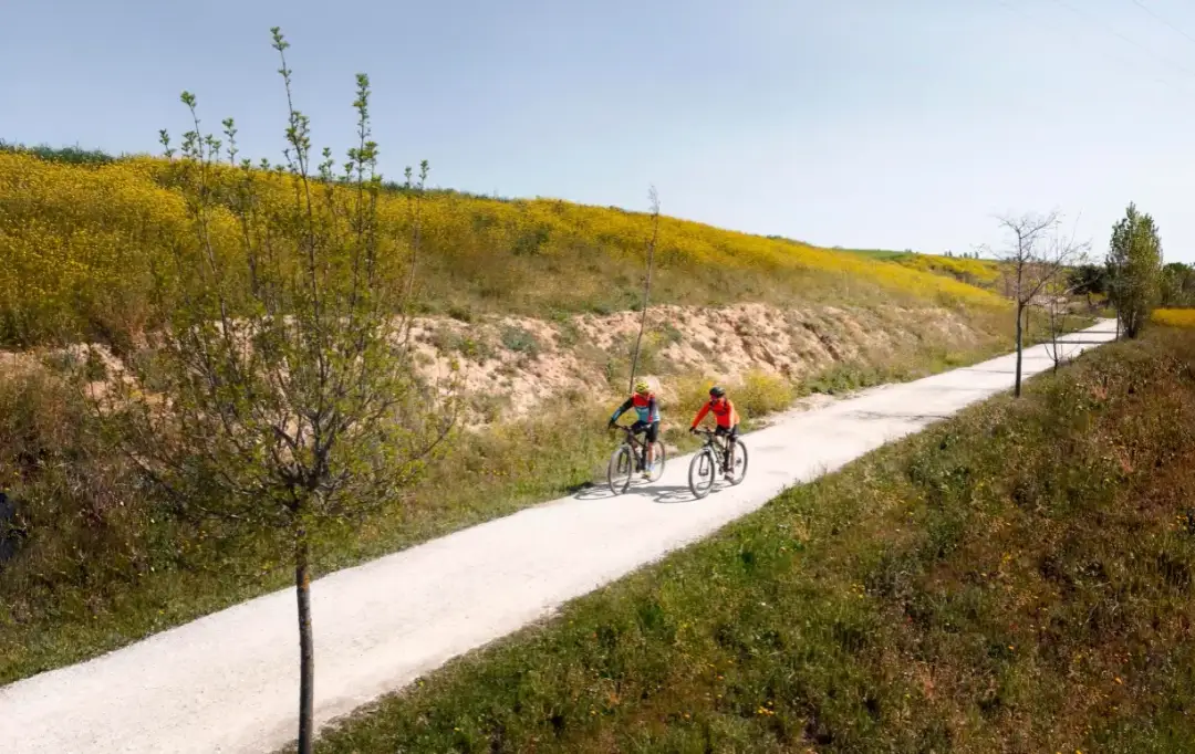 Najpiękniejsze trasy rowerowe w Polsce, które zachwycą każdego cyklistę