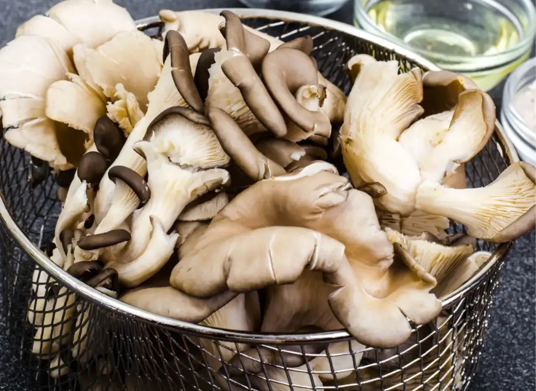 Grzyby w wodzie - poradnik pielęgnacji i uprawy