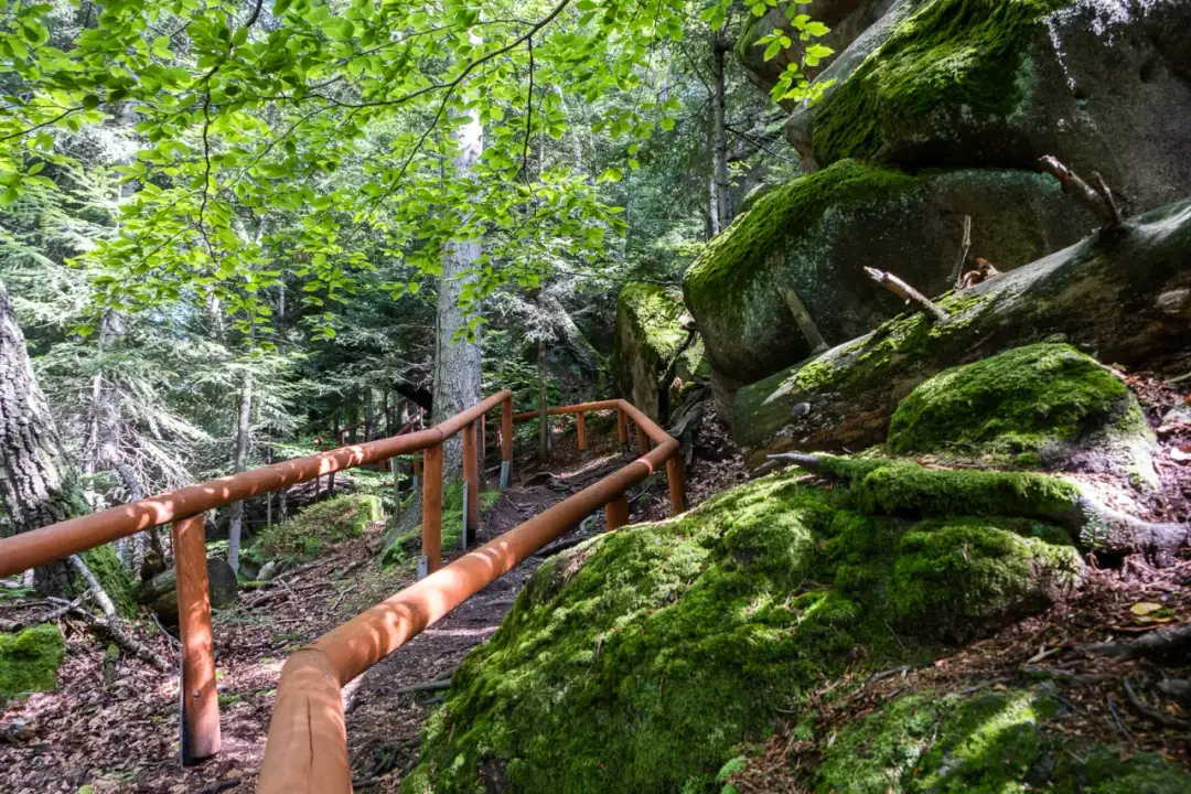 Gdzie nocować w Magurskim Parku Narodowym? Najlepsze miejsca