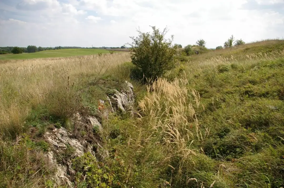 Rezerwat przyrody Góry Wschodnie - tajemnice natury i nieznane szlaki