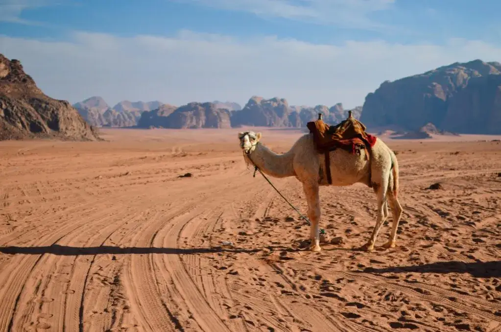 Jordania czy jest bezpiecznie? Sprawdź, co musisz wiedzieć przed podróżą