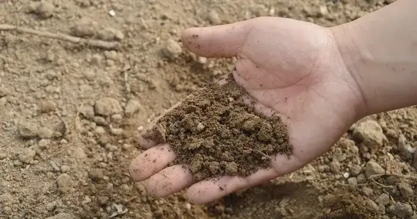 Jak sprawdzić czy teren jest podmokły i uniknąć kosztownych błędów