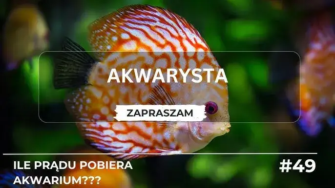 Ile prądu zużywa akwarium 112l? Poznaj ukryte koszty i oszczędności
