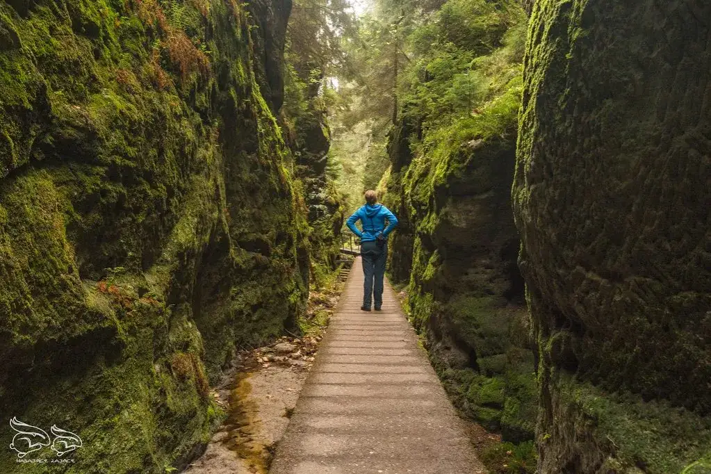 Szwajcaria Saksońska: przewodnik po szlakach, Bastei i atrakcjach