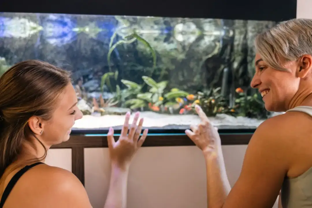 Jak karmić rybki, aby uniknąć błędów i zapewnić im zdrowie