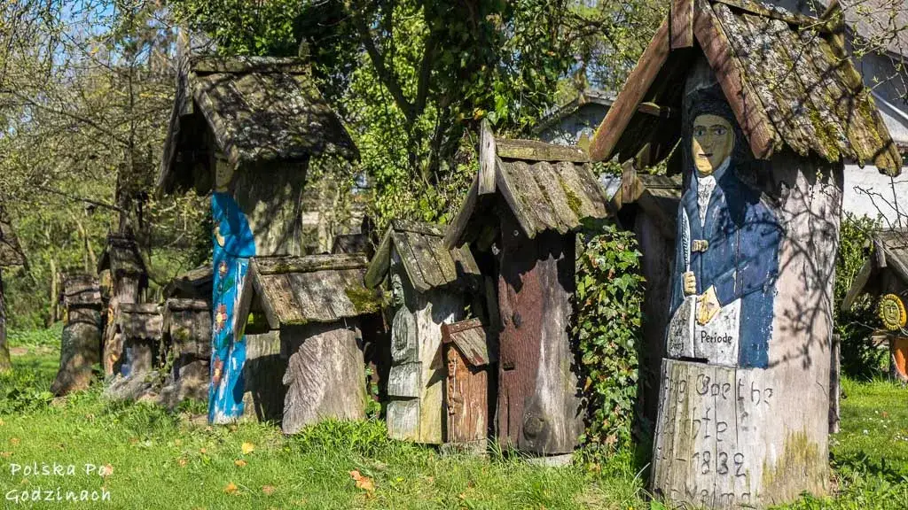 Bory Tucholskie: TOP atrakcje co musisz zobaczyć i przeżyć?