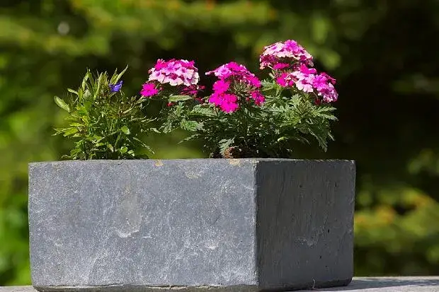 Jak zrobić donice z betonu i styropianu - krok po kroku do sukcesu