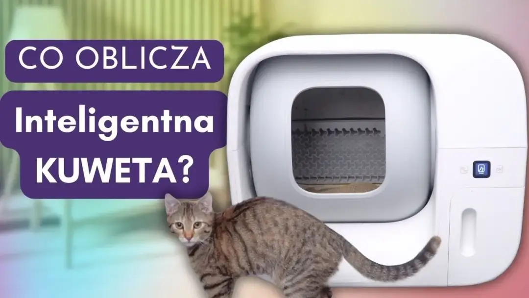 Jak działa kuweta samoczyszcząca? Odkryj jej sekrety i zalety