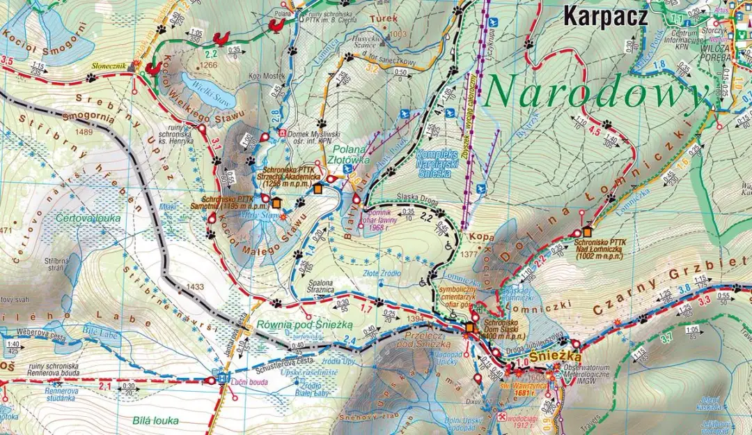 Gdzie szukać Kody i Sisu w górach? Poznaj lokalizacje bohaterów