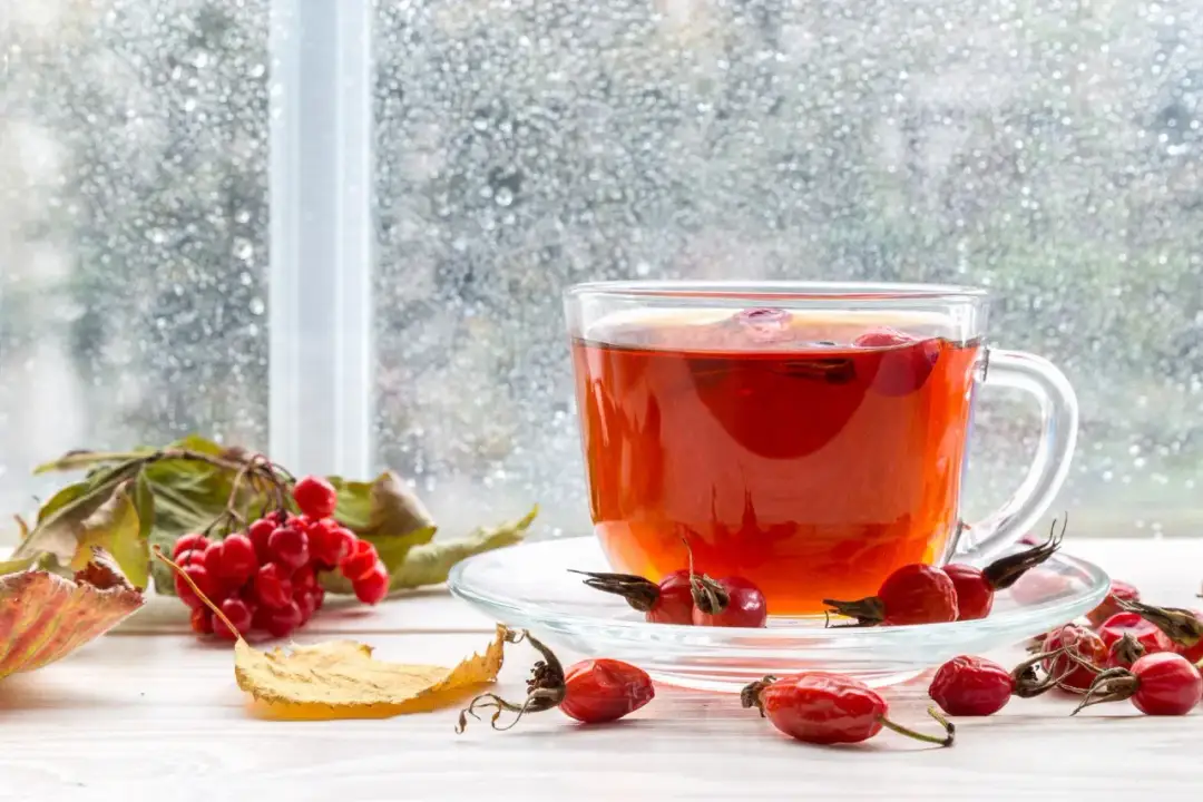 Idealny susz z głogu na herbatę? Poznaj tajniki domowego suszenia