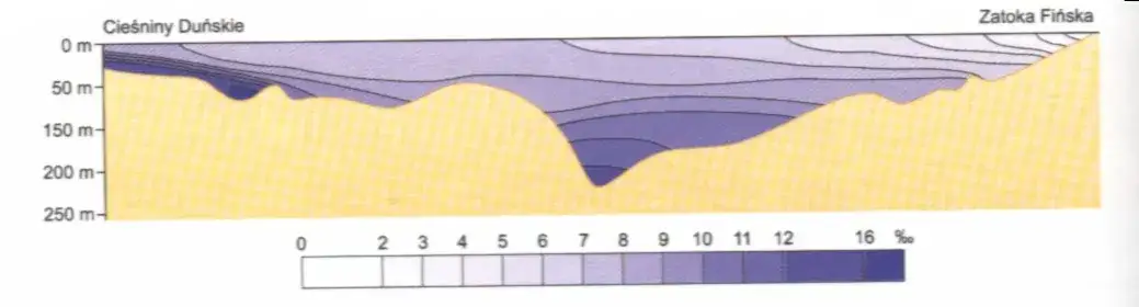 Jakie jest zasolenie Bałtyku? Zaskakujące różnice i ich przyczyny