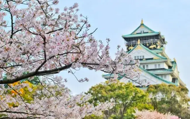 Jaki jest klimat w Japonii? Zaskakujące różnice sezonowe i warunki