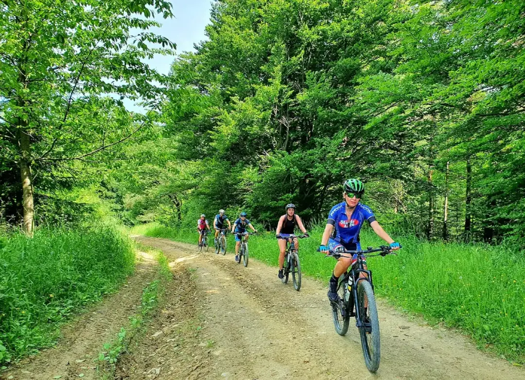 Łatwe trasy rowerowe w Beskidach: idealne dla rodzin i początkujących