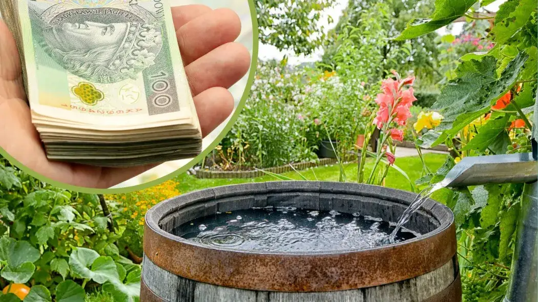 Gdzie złożyć wniosek o dofinansowanie na deszczówkę i uniknąć błędów