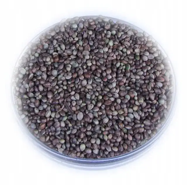 Gdzie kupić konopie na ryby: kompletny ranking najlepszych sklepów