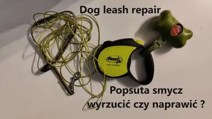 Jak naprawić zepsutą smycz automatyczną w domu bez kosztownej wizyty u specjalisty