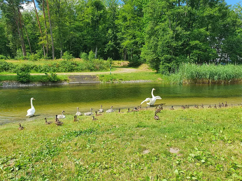 Przechlewo atrakcje, które zaskoczą każdego turystę w regionie