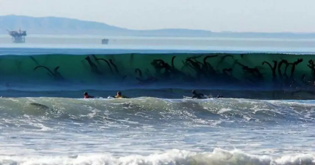 Talasofobia – czym jest lęk przed głęboką wodą i jak go pokonać?