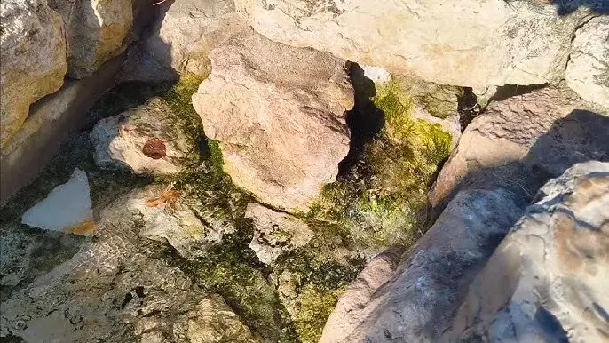 Skąd wypływa rzeka Warta? Odkryj jej tajemnicze źródła w Kromołowie