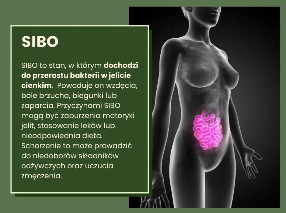 Inulina a SIBO: Czy pomoże w leczeniu? Korzyści i zagrożenia