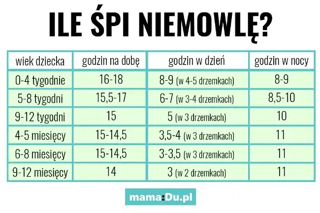 Twój dwumiesięczny szczeniak to śpioch? Ile snu jest normą?