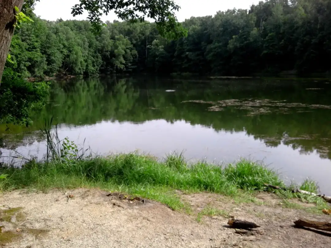 Jezioro Czechowickie: Odkryj raj dla miłośników rekreacji i spokoju