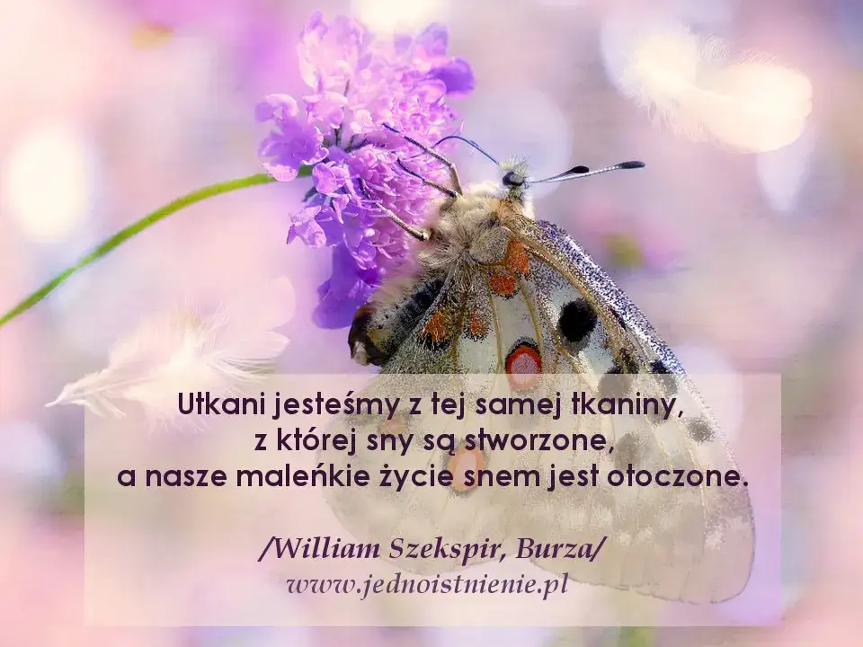 Co tracimy w cytatach i jak uniknąć utraty ich znaczenia