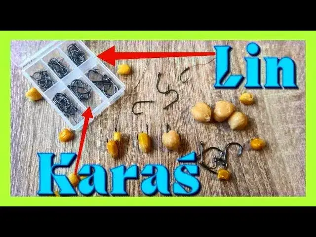 Najlepszy haczyk na karasia: rozmiar, kształt, model poradnik