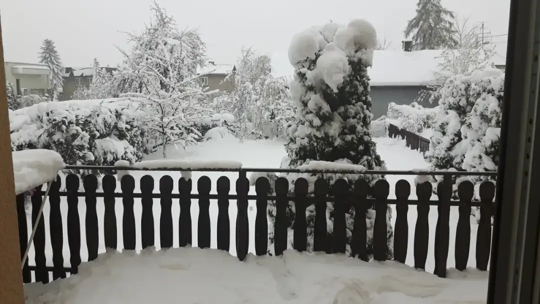 Termik rozwarty? Diagnoza i naprawa krok po kroku