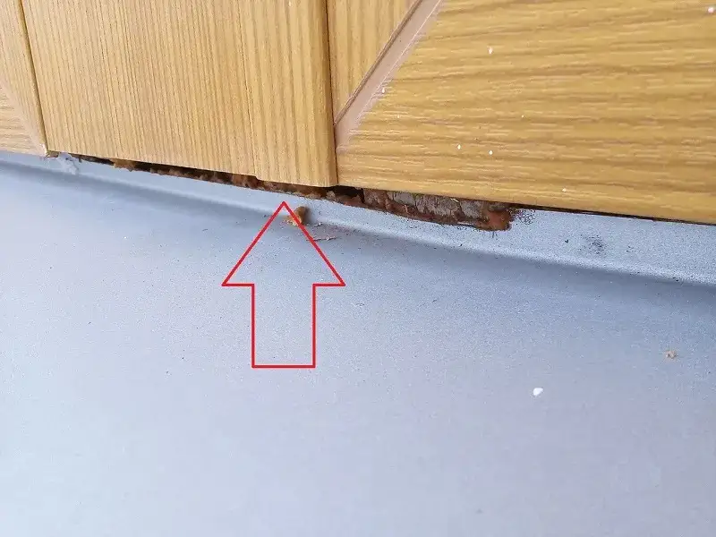 Ile czasu ma deweloper na usunięcie usterki? Poznaj swoje prawa