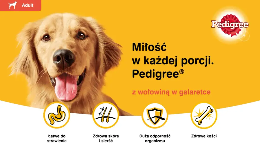 Czy karma Pedigree jest dobra dla psa? Opinie i wady, które musisz znać