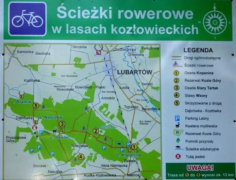Lasy Kozłowieckie trasy rowerowe – najpiękniejsze szlaki i atrakcje