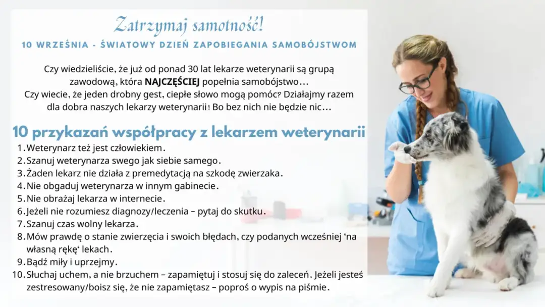 Lekarz weterynarii, jak każdy doktor, zasługuje na szacunek. Na zdjęciu weterynarz z psem.