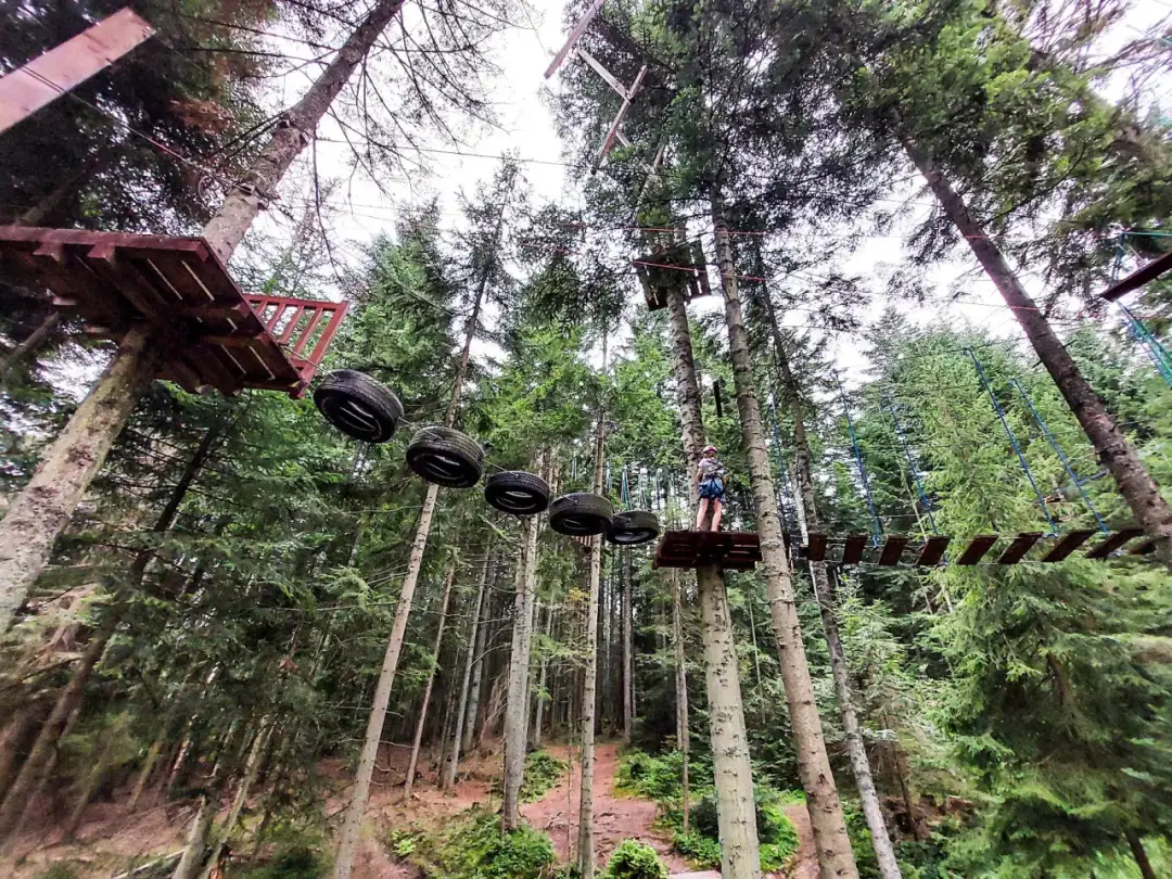 Park linowy Siary – wyjątkowe atrakcje i trasy dla każdego
