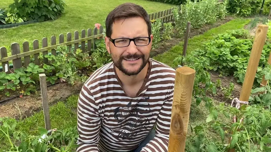 Jak uprawiać pomidory w gruncie - uniknij najczęstszych błędów