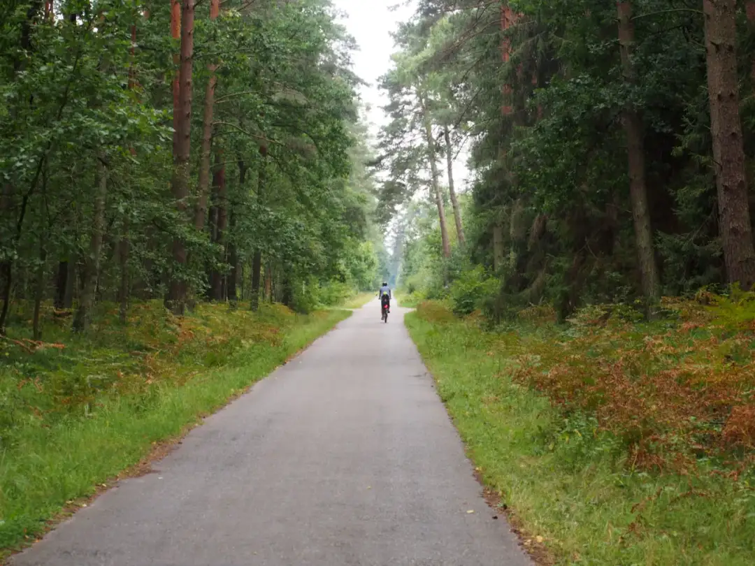 Puszcza Niepołomicka trasy rowerowe mapa – odkryj najlepsze szlaki