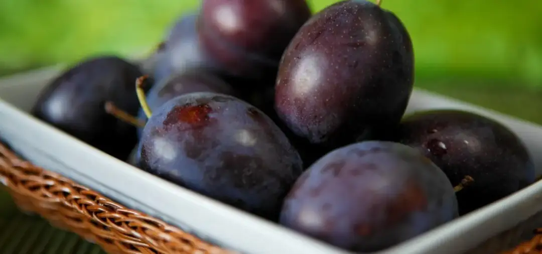 Ile kalorii ma śliwka? Odkryj, dlaczego warto je jeść świeże