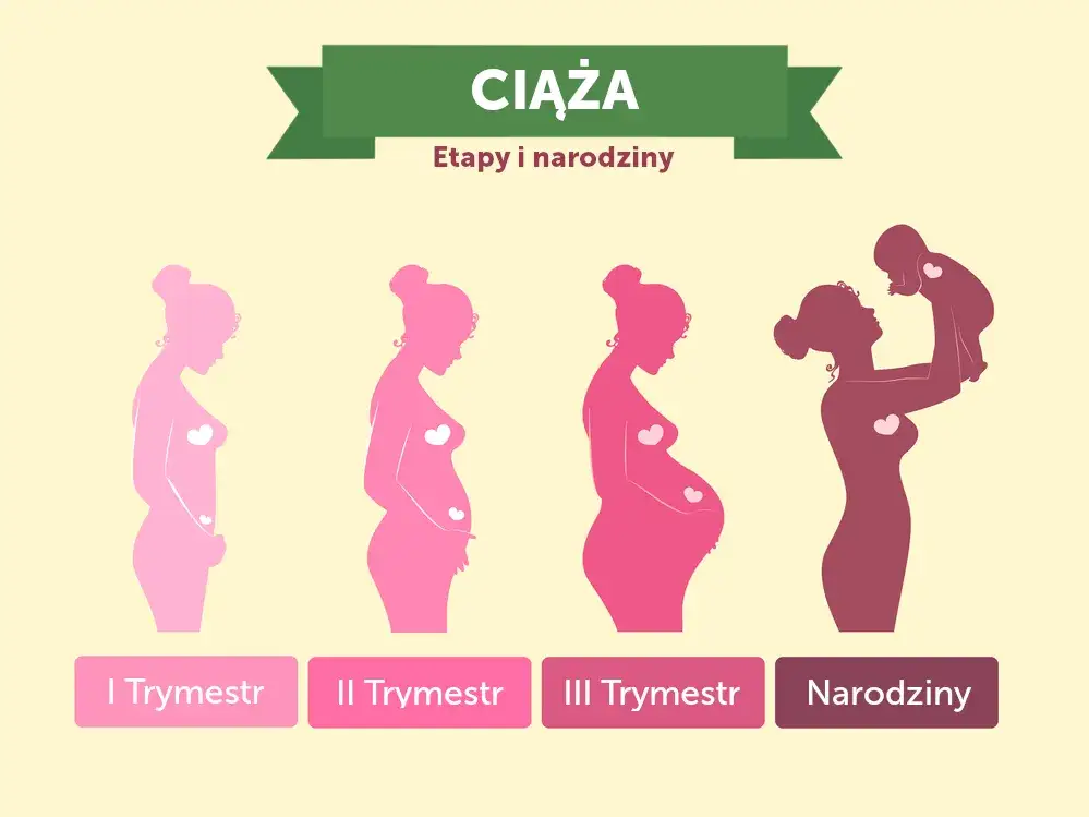 Ile trwają badania prenatalne? Czas oczekiwania na wyniki planuj bez stresu!