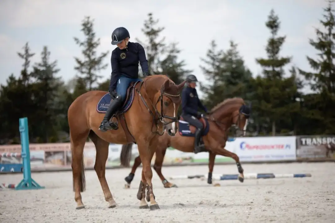 Srebrna odznaka jeździecka pytania - jak uniknąć najczęstszych błędów?