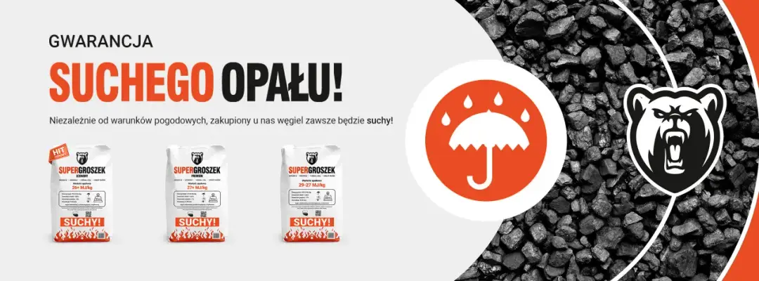 Po ile ekogroszek? Sprawdź ceny i uniknij przepłacania