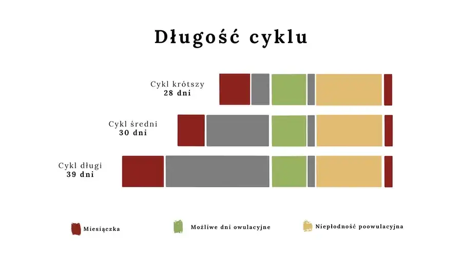 Kiedy występuje owulacja? Poznaj kluczowe informacje o cyklu miesiączkowym
