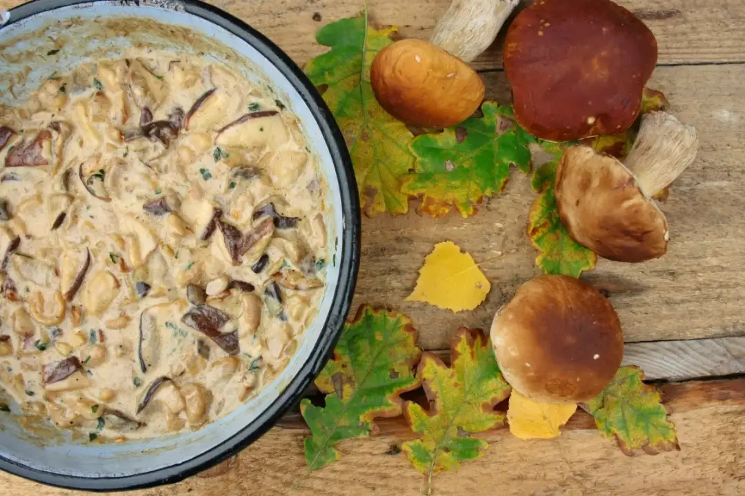 Oto sekrety aromatycznego sosu z mrożonych grzybów ze śmietaną