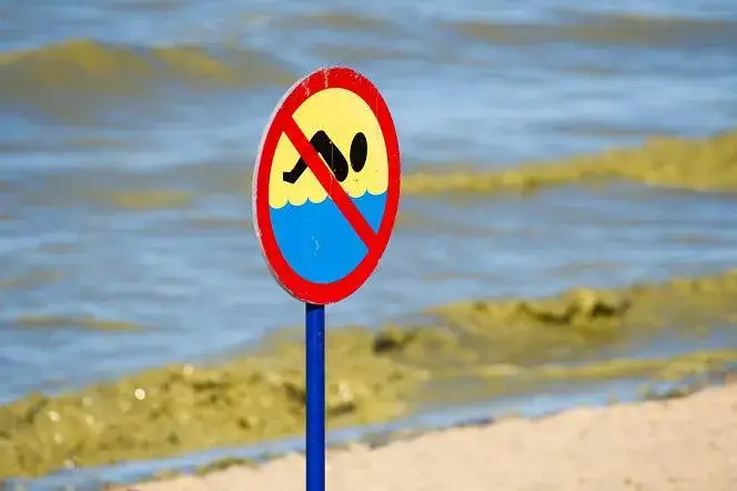 Gdzie są zamknięte plaże nad Bałtykiem i dlaczego warto to wiedzieć