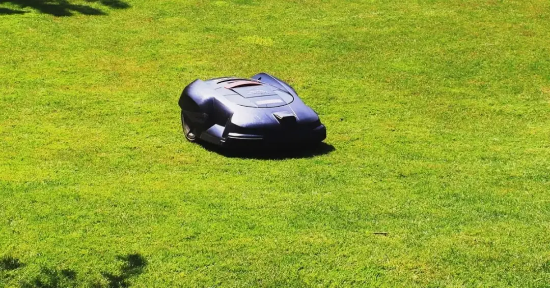 Quel robot tondeuse sans fil périphérique choisir pour un jardin parfait