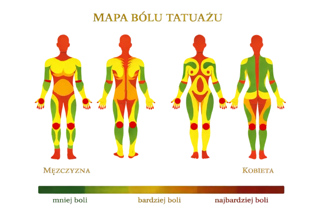 Czy tatuaż boli? Mapa bólu, porady i maści znieczulające